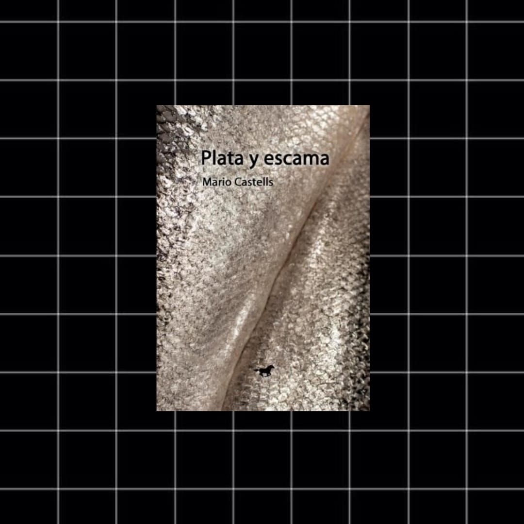 WhatsApp Image 2024-08-18 at 19.13.48 (3)