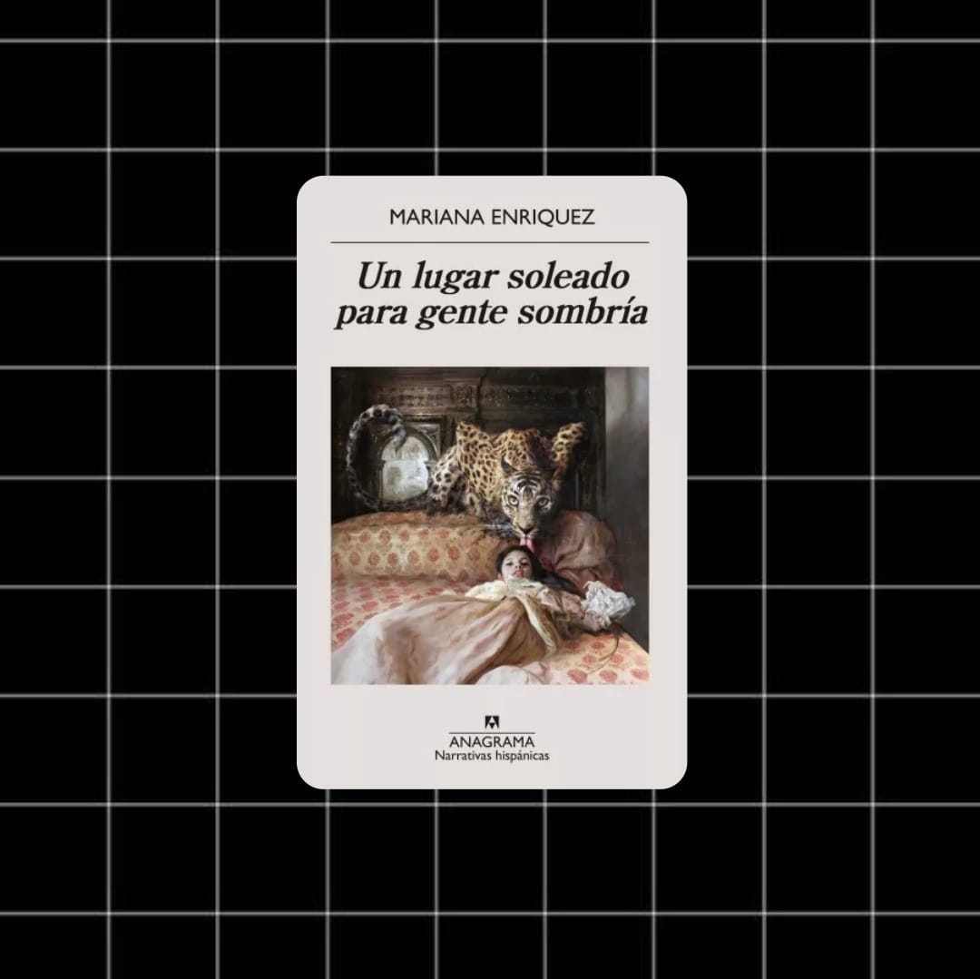 WhatsApp Image 2024-10-23 at 19.13.51